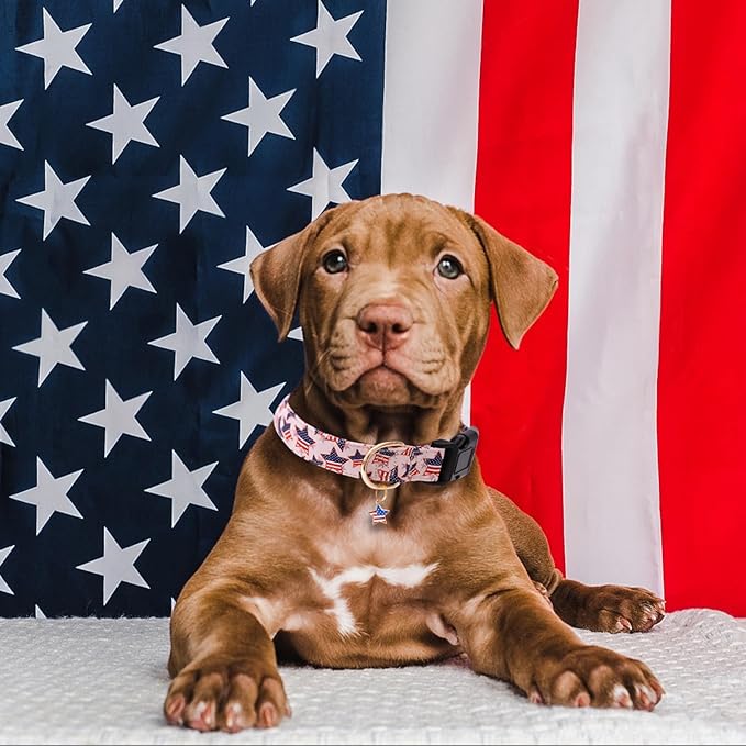 Faygarsle Cotton Dogs Collar Cute 4th of July Independence Day Dog Collars Pink Blue American Flag Star Patterns Dog Collarfor Girl Female Boy Male Small Medium Large Dogs S