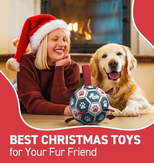 QDAN Dog Balls, World Cup Soccer Ball with Straps, Durable Herding Balls for Small Medium Pet, Puppy Birthday Gifts, Dog Water Toy, Pet Toys Puppy Ball (6 Inch) (Pack of 2)