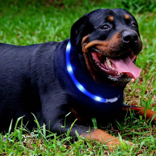 LED Dog Collar,USB Rechargeable Glowing Dog Collars, Light Up Collar Improved Pet Safety &Visibility at Night, 3 Flashing Modes,Water-Resistant Lighted Collar Fits for Small Medium Large Dogs