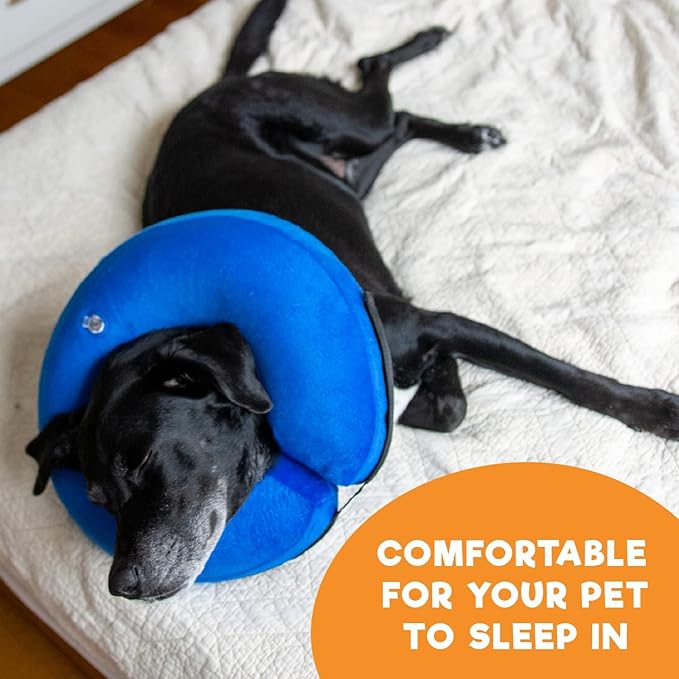 BENCMATE Inflatable Dog Cone Collar Alternative, Soft Dog Cone for Small Medium Large Dogs and Cats, Neck Recovery ECollar Donut Collar After Surgery (XLarge, Blue Donut)