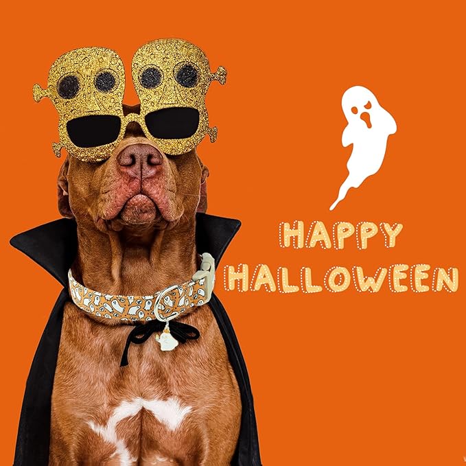 Faygarsle Halloween Ghost Pattern Dog Collar with Charm, Orange and White,for Small Medium Large Dogs XS