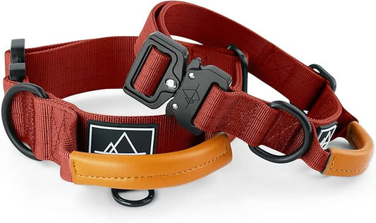 Made to ROAM Premium Explorer Control Collar - Adjustable Heavy Duty Nylon Dog Collar with Quick-Release Metal Buckle and Handle (Texas Flair, Control Size 4)