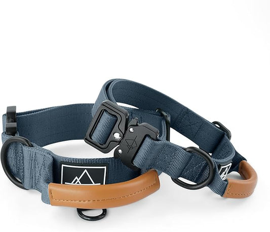 Made to ROAM Premium Explorer Control Collar - Adjustable Heavy Duty Nylon Dog Collar with Quick-Release Metal Buckle and Leather Handle (Colorado Nightsky, Size 2, Control)
