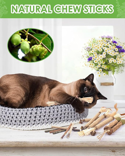 TINDTOP Catnip Chew Toys for Cats, 12 Pack Natural Silvervine Sticks for Kittens Teeth Cleaning, Matatabi Dental Care, Increase Appetite, Calm Cat Anxiety and Stress, Aggressive Chewers Cat Dental Toy