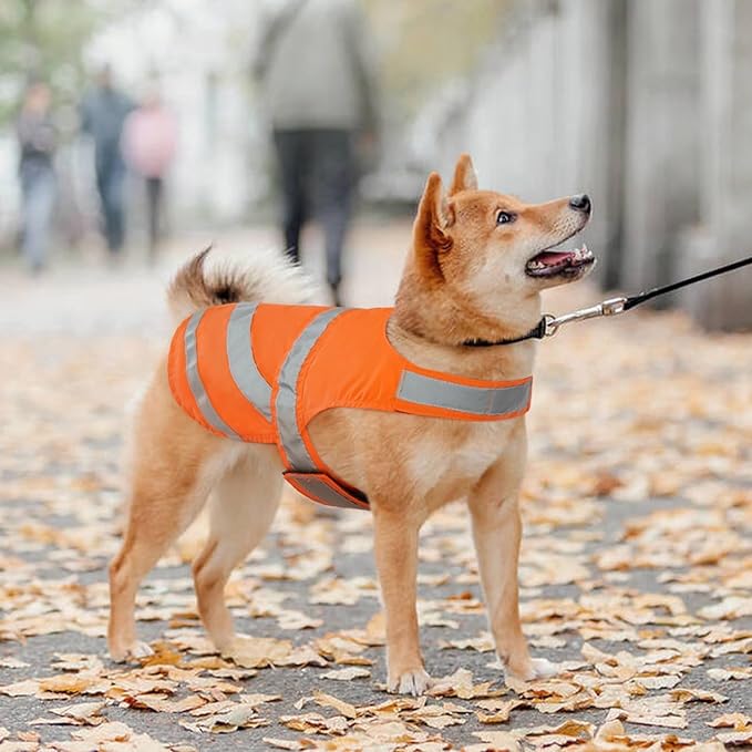 Kuoser Reflective Dog Vest, High Visibility Safety Vest for Medium to Large Dogs, Lightweight Pet Reflective Vests for Hunting Outdoor Activities Walking at Night, Blaze Orange XL