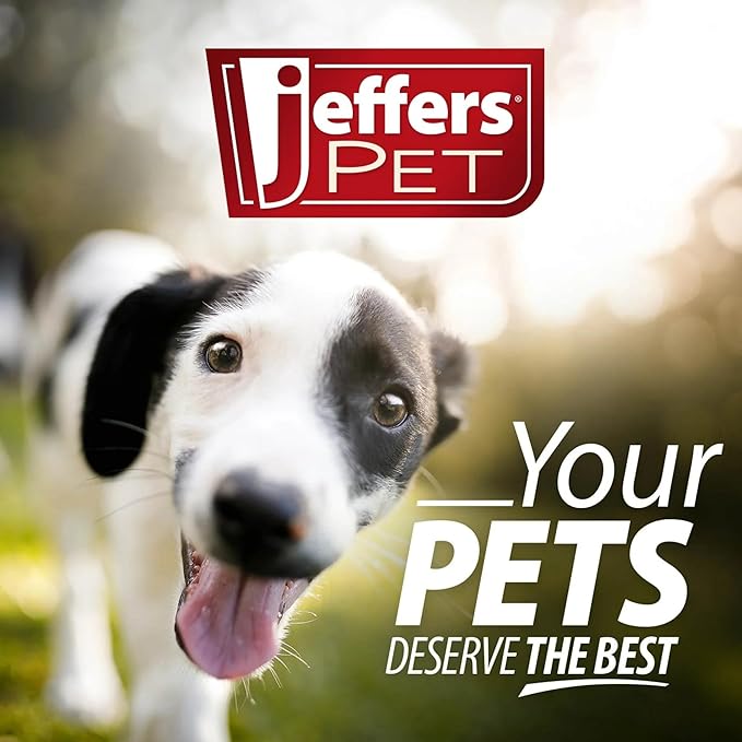 Jeffers Pet Big Mouth Bass Dog Toy, 9" – Plush Fish Toy for Dogs, Chew, Fetch, Toss, Snuggle, Interactive Play, Funny, Stocking Stuffer, Squeaky, Cute, Soft, Durable, Indoor, Outdoor