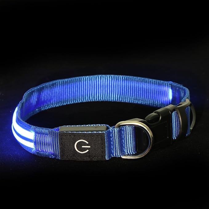 LED Light Up Dog Collar for Night Walking, Rechargeable Safety Glow Illuminated Collar with 3 Modes Flashing, Reflective Adjustable Pet Light for Small/Medium Dogs Puppy 15-19" Neck 1 Pack (Blue)