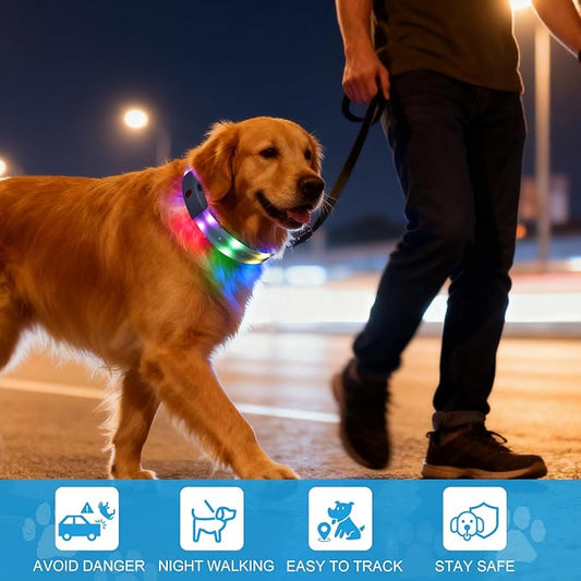 Lighted Dog Collar, Rechargeable Light Up Pet Collar, Waterproof LED Dog Collar Glow in The Dark, Make Pet Visible and Safety for Night Walking for Small Medium Large Dogs (Purple)