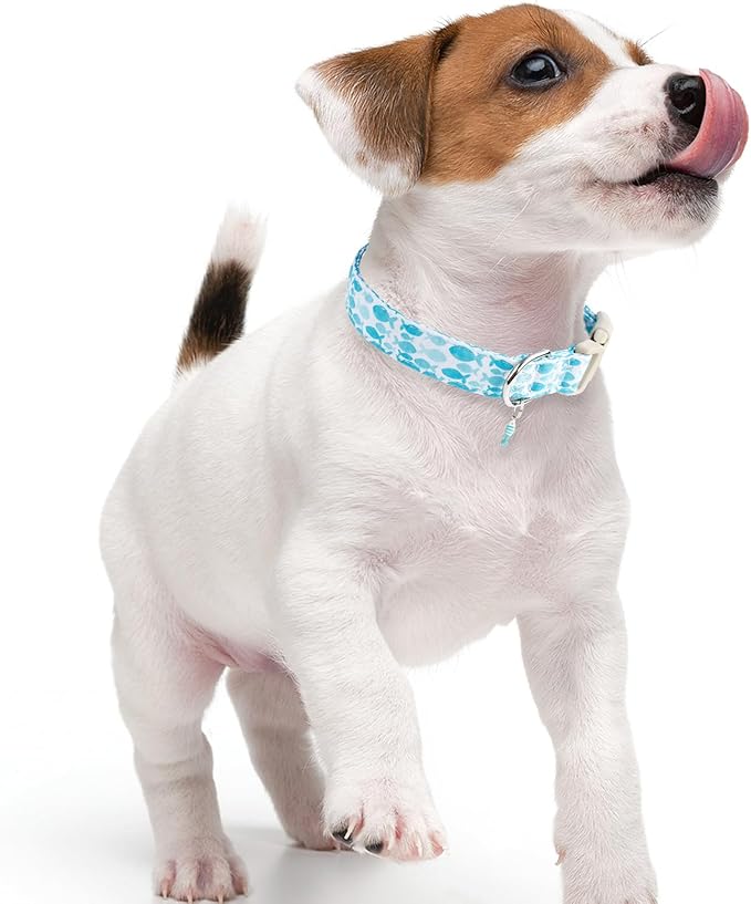 Faygarsle Fish Pattern Dog Collar, Adjustable with Buckle, Blue and White, Summer Design for Small Medium Large Dogs M