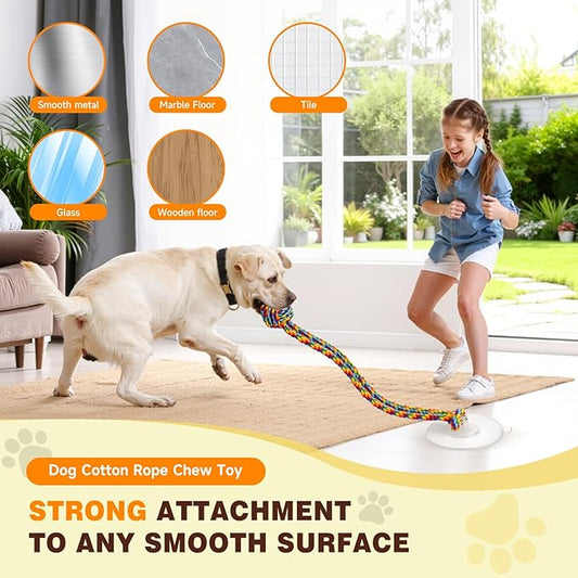 Interactive Dog Toys, Gel Suction Cup Design, Cotton Rope Ball with Built-in Bell, Puppy Teething Toys, Tug of War Dog Toy, Dog Puzzle Toy for Small Dogs, Rainbow