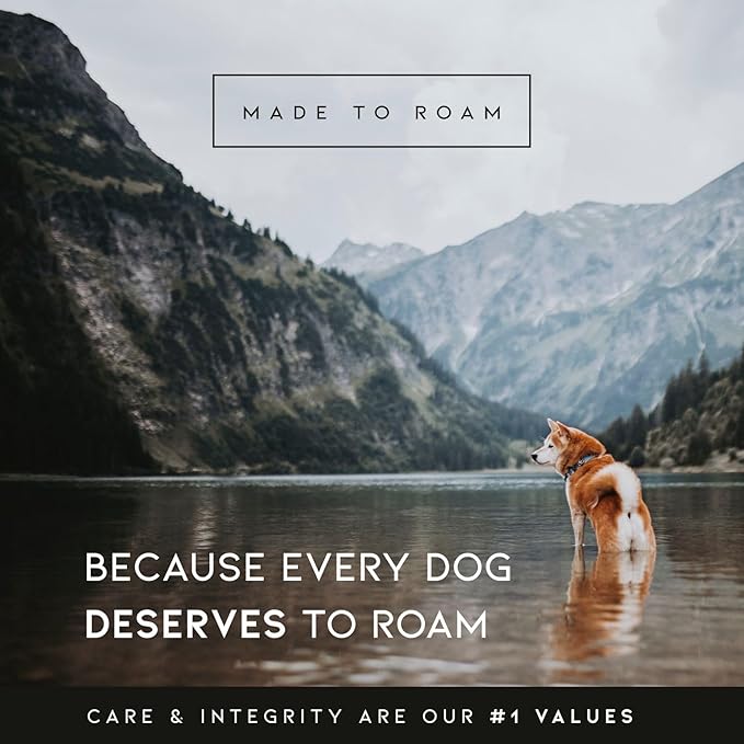 Made to ROAM Premium Dog Collar - Adjustable Heavy Duty Nylon Collar with Quick-Release Metal Buckle (Arizona Sunkissed, Classic Size 5)