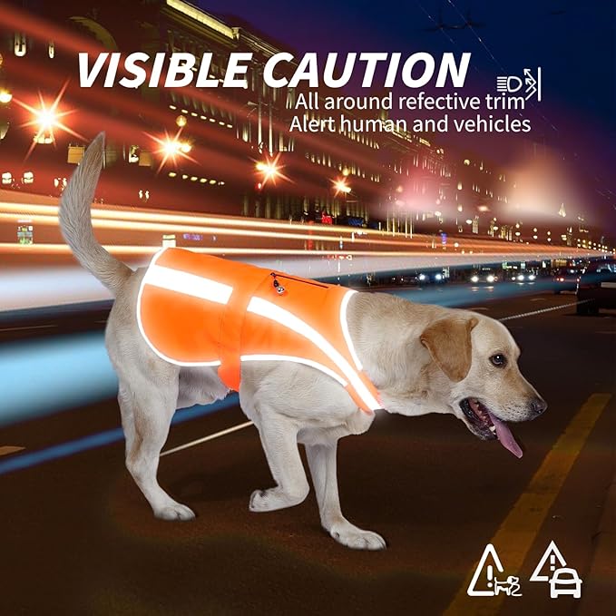 Reflective Dog Vest for Small Medium Breeds, High Visibility Dog Safety Vest with Removable Bell Keep Safe from Hunting, Training & Cars Accidents