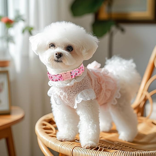 Strawberry Bow Dog Collar, Spring/Summer Pink Girl Dog Collars, Adjustable Heavy Duty Girly Female Dogs Collars for Small Medium Large Dogs with Metal Buckle S