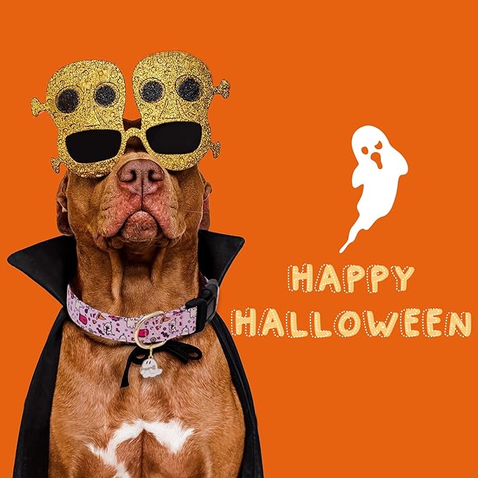 Faygarsle Fall Dog Collar Adorable Ghost Pattern Halloween Collar for Dogs Autumn Collar for Small Medium Large Female and Male Dogs Cute Neckwear for Dogs Purple Collar for Boy Girl Dogs XS