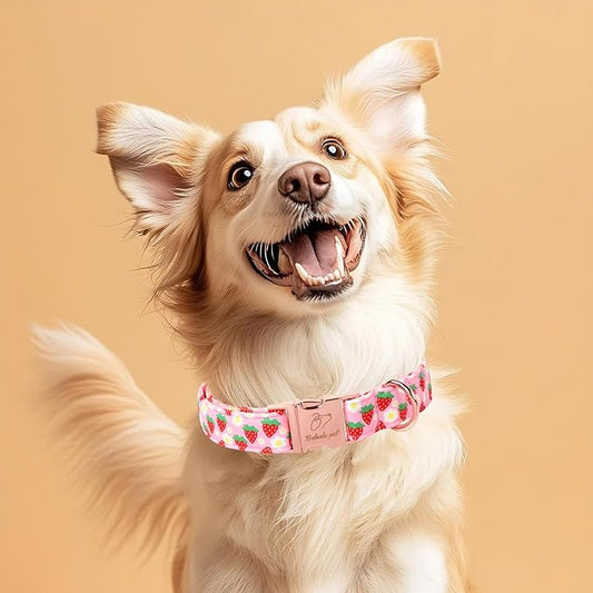 Strawberry Dog Collar for Giant Large Dogs - Adjustable Spring Summer Pink Girl Dog Collars, Cute Girly Female Pet Collar with Metal Buckle XL