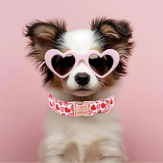 Valentines Dog Collar, Pink Heart Print Girl Dog Collars, Cute Valentine Puppy Collars, Adjustable Heavy Duty Pet Collar for Small Medium Large Dogs with Metal Buckle XL