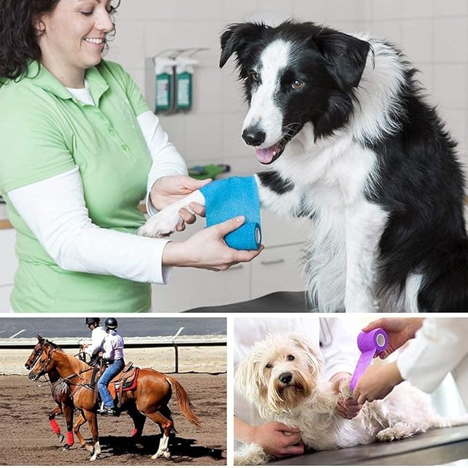 Lotfancy 10 Rolls Self Adhesive Vet Wrap, 2 Inch Cohesive Bandage Wrap for Wound Care, Elastic Pet Tape for Dogs, Cats, Horses, Breathable Medical First Aid Tape for Paw, Leg, Foot, Assorted Colors