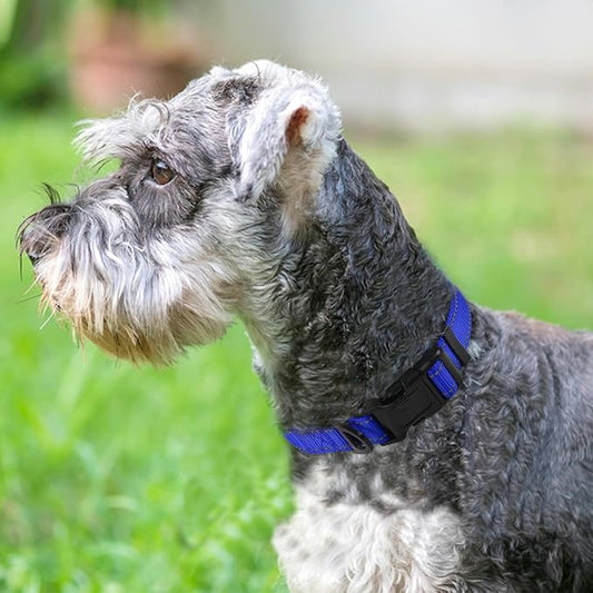Joytale Reflective Dog Collar, Soft Neoprene Padded, Metal D-Ring, Nylon Pet Collar Adjustable for Small Dogs, Navy Blue, S