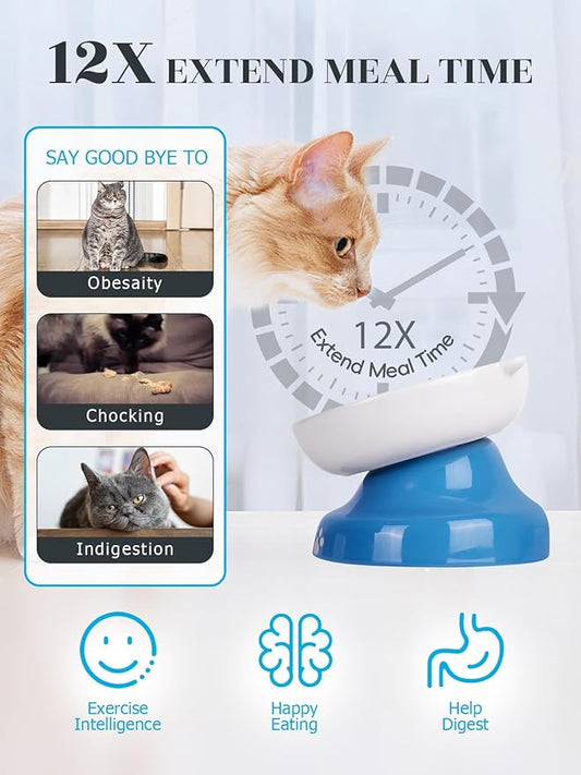 Y YHY Ceramic Slow Feeder Cat Bowl, Elevated Cat Bowl Tilted Design Slow Feeder for Dog and Cat for Dry and Wet Food, Blue