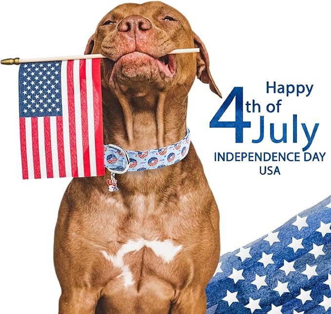 Faygarsle Patriotic Dog Collar, 4th of July Design, American Flag Pattern, Light Blue Summer Design for Small Medium Large Dogs L