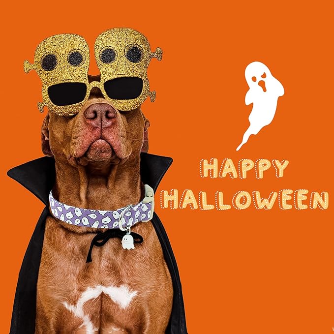 Faygarsle Halloween Dog Collar with Charm, Purple with Ghost Pattern, for Small Medium Large Dogs XS