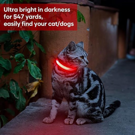 Light Up Dog Collar - Reflective LED Puppy Collar Rechargeable Glow in The Dark Cat Collar High Visibility Safety Dog Lights for Night Walking (XS, Red)