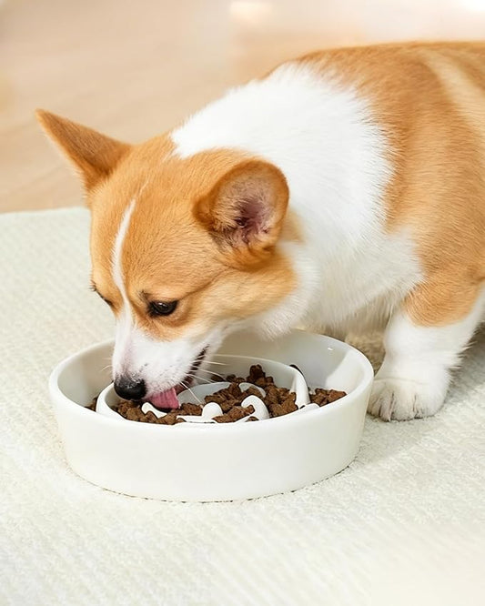 TRUVIC Ceramic Slow Feeder Dog Bowls, 1.5 Cup Puzzle Slow Feeder Bowls for Fast Eaters, Ceramic Dog Food Dish no Black Chin, Puzzle Bowl for Medium Dogs, White