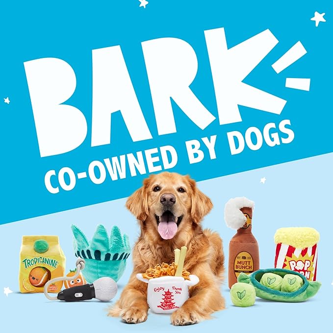 Barkbox Squeaky Dog Toys - Plush and Squeak Chew Toys | Puppy and Pet Toys for Small to Medium Dogs | Chow Chow Mein (Medium)