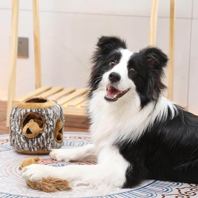 Laifug Hidden Squirrel Plush Dog Toy, Interactive Squeaky Dog Toy Hide and Seek, L
