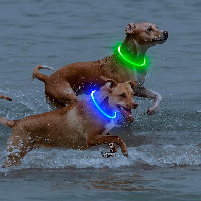 【2-Pack】 Rechargeable LED Dog Light Up Collar Set - Illuminate Night Walks with Universal Safety Light for Small, Medium, and Large Dogs (Green&Blue)