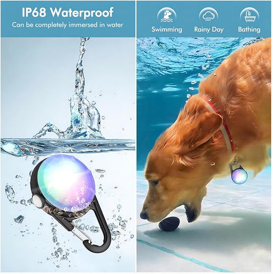4 Modes Dog Collar Light,2 Packs IP68 Waterproof Dog Lights for Night Walking, USB Rechargeable Pet LED for Nighttime Clip on (Black)