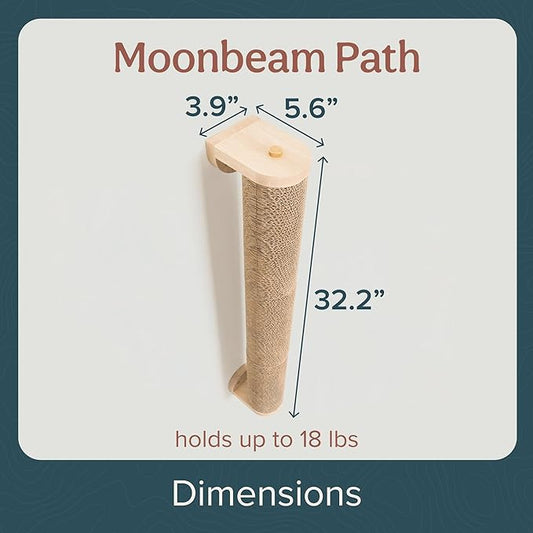 Floating Cat Shelf & Perch – Wall-Mounted Climbing Furniture for Cats - Moonbeam Path | Ascentials by FurHaven