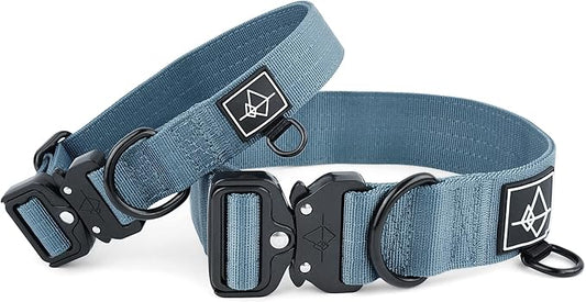 Made to ROAM Premium Dog Collar - Adjustable Heavy Duty Nylon Collar with Quick-Release Metal Buckle (California Horizon, Classic Size 0)