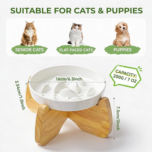 Raised Slow Feeder Cat Bowl with Stand, 6.3'' Wide Ceramic Elevated Shallow Slow Eating Cat Bowl for Dry/Wet Food, Anti-Vomiting Pet Puzzle Feeder, Whisker Friendly, Dishwasher Safe (2 Pack)