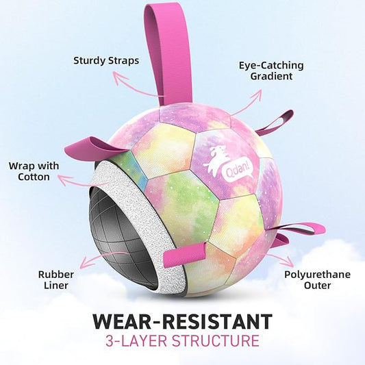 QDAN Dog Balls, Dog Soccer Ball with Straps, Pink Girl Puppy Toy Balls for Small Medium Dogs, Outdoor Water Pool Toys, Puppy Pet Birthday Gifts, Rainbow(6 Inch)