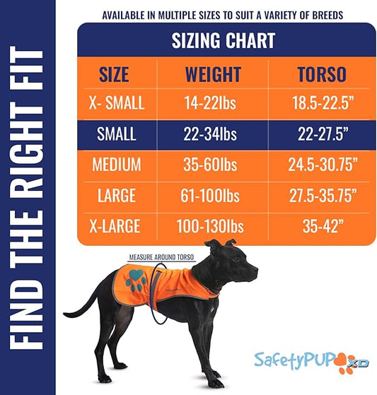 SafetyPUP XD Reflective Dog Vest. Hi-Visibility, Fluorescent Blaze Orange Dog Vest Helps Protect Your Best Friend. Safeguard Your PUP from Motorists & Hunting Accidents, On or Off Leash (Small)