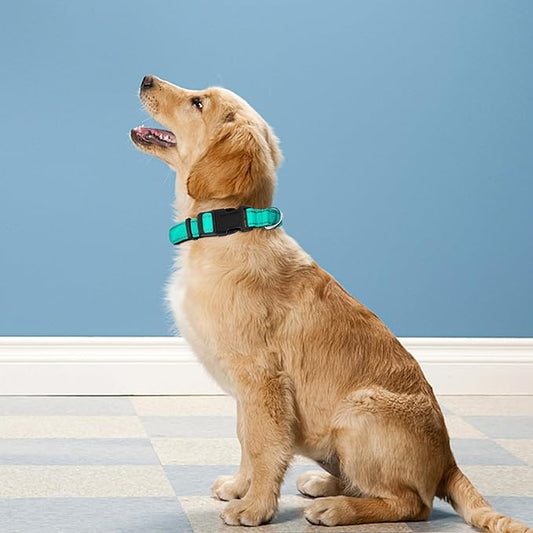 Reflective Dog Collar, Adjustable Soft Neoprene Padded Nylon Pet Collars with Buckle for Extra Large Dogs, Teal,XL
