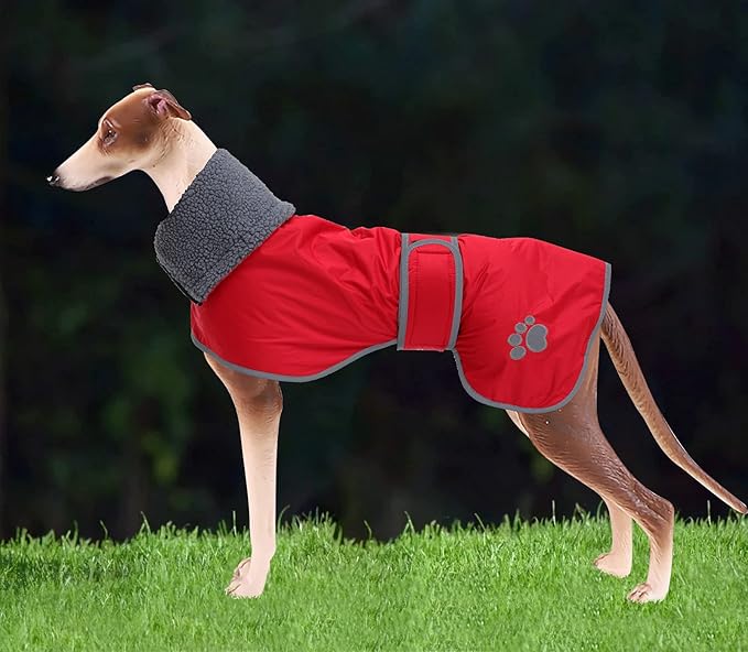 Geyecete Dog Winter Coat Greyhound Raincoat Fabric with Lamb Velvet Inside Outdoor Dog Apparel with Adjustable Bands for Medium, Large Dog-Red-M