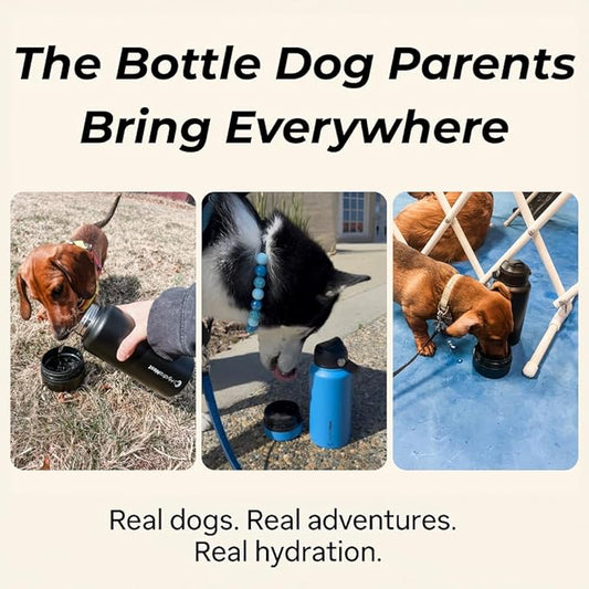 HydraNest Dog Water Bottle 32oz - Insulated Portable Pet Hydration for Beach & Camping - Travel Bowl Included - Thoughtful Gift for Pet Parents and Animal Lovers