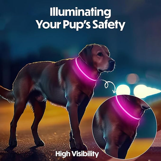 Light Up Dog Collar – Reflective, Adjustable & Rechargeable Electronic Glow Pet Collars – Bright, Comfortable, High Visibility LED Dog Collar for Night Safety, Outdoor Walk & Flashing Fun, Pink, Small