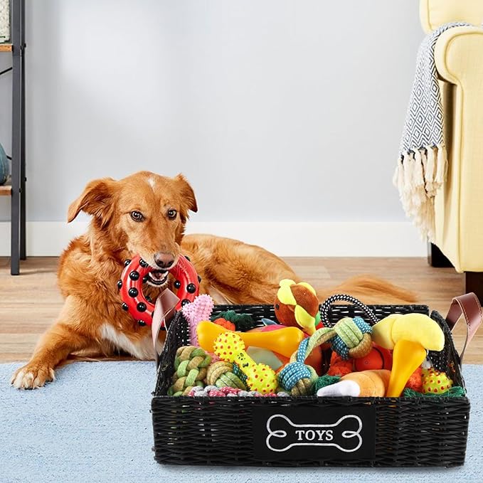 Pet Dog Toy Basket with handle,Trapezoid Puppy Toy Bin,collapsible Poly Wicker Storage Basket,Dog Storage Organizer for Leash Blanket Collar-Natural Farmhouse-Easy Access