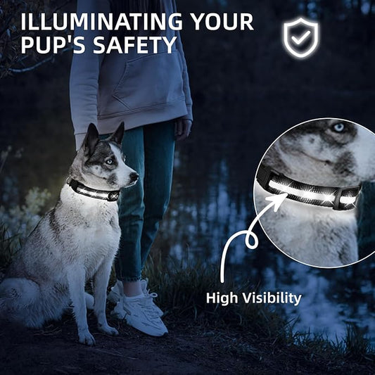 Super Bright LED Dog Collar - Fully Waterproof & Adjustable Glow Collar - USB-C Rechargeable for Night Walking, Safety - Flashing Lighted Collar for Dogs(White,Small)