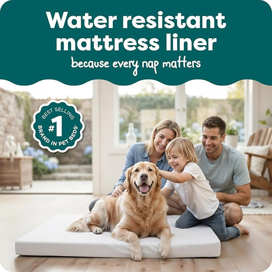 FurHaven Dog Bed Liner for Large Dogs, Water-Resistant Foam Protector with Quiet No-Crinkle Cover Design, Easy to Clean, Jumbo XL, Coated Polyester, White