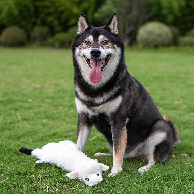 Best Pet Supplies Squeaky Dog Toys with Soft Durable Fabric for Small, Medium and Large Pets Interactive Toy for Indoor Play, Supports Active Biting and Play - Large (Hare, Sheep, Cow, Pig, Penguin)