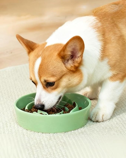 TRUVIC Ceramic Slow Feeder Dog Bowls, 1.5 Cup Puzzle Slow Feeder Bowls for Fast Eaters, Ceramic Dog Food Dish no Black Chin, Puzzle Bowl for Medium Dogs, Green