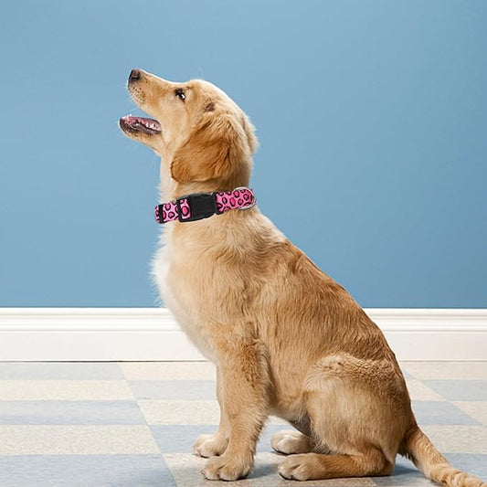 Reflective Dog Collar, Adjustable Soft Neoprene Padded Nylon Pet Collars with Buckle for Puppy and Small Dogs, Cats, Leopard Pink,L