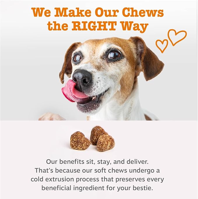 Zesty Paws Omega 3 Fish Oil for Dogs - Zesty Paw Dog Vitamins and Supplements for Hip, Joint & Skin, Bacon (90 Chews)