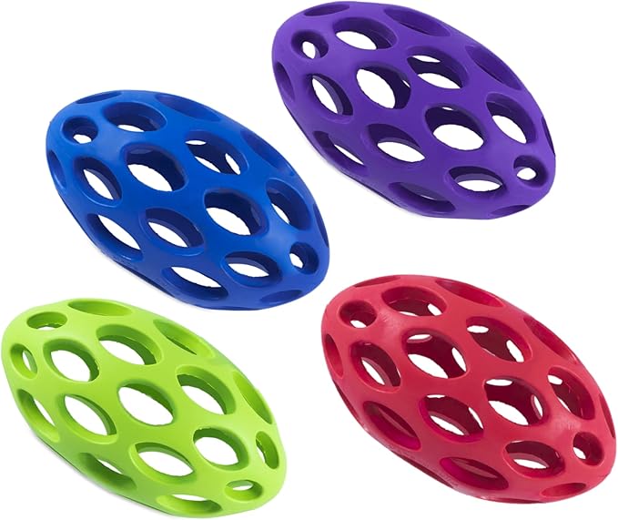 JW Pet Hol-ee Water Bottle Dog Toy, Not a Chew Toy, Medium