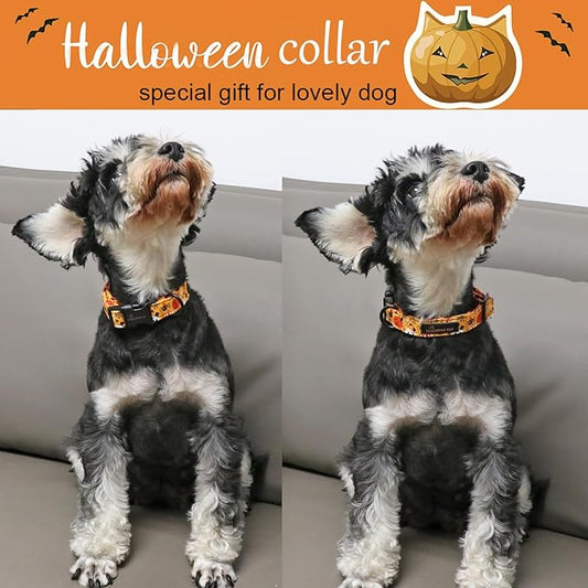 ARING PET Halloween Dog Collar-Cute Pumpkin Dog Collar for Small Dogs, Adjustable Halloween Ghost Dog Collars for Small Medium Large Female and Male Dogs