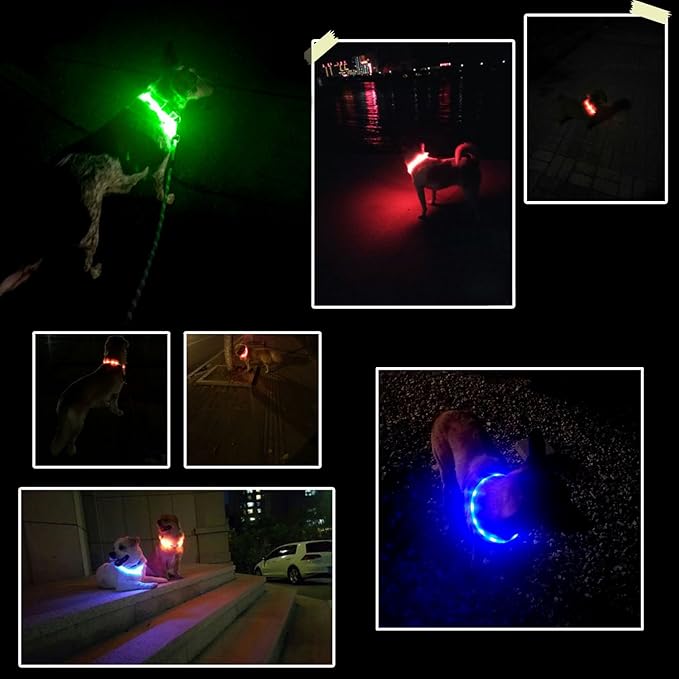 2 Pack Light Up Dog Collars with 1640 Feet of Visibility - Brightest Glow Dog Collar Light, Rechargeable Dog Collar Light for Night Walking, 3 Flashing Modes, Keeps Your Pets Safe in The Dark
